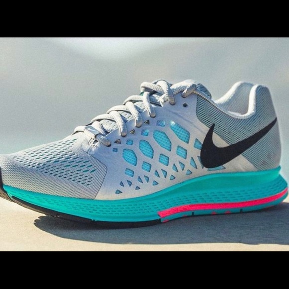 nike pegasus 2014
